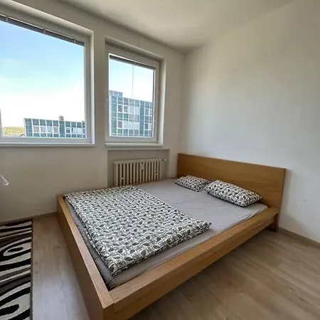 Apartment Comfy Studio In 5